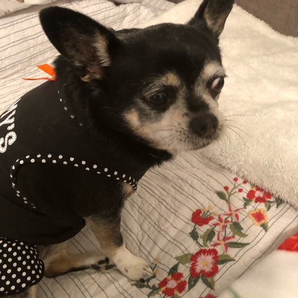 Meet your Posher, Deborah - Picture 4 of 4